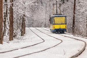 An old tram moving through a winter forest photo