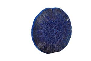 Macro stone mineral Azurite on a white background photo