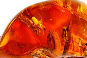 Macro Amber mineral stone with spider on white background photo