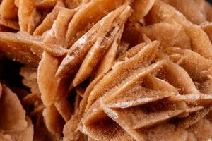 Macro mineral stone desert rose or sand rose on a black background photo