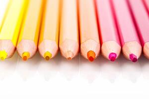 macro multicolored pencils on a white background photo