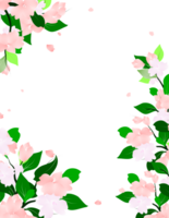 Frühling Blumen- Ast Blumen Rahmen Grenze. botanisch Garten Hintergrund. png