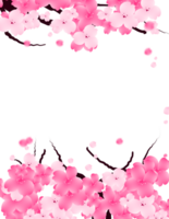 zoet valentijnsdag bloemen kader. roze sakura grens. vallend bloemblaadjes achtergrond. png