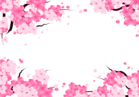 dolce san valentino telaio con sakura fiori. carino ciliegia fioritura sfondo confine.bordo png