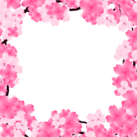 Pink Sakura Frame, Spring Cherry Bloom Border. Flowers Falling Petals Background. png