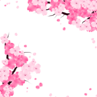 Blooming Sakura Frame, Pink Cherry Blossom Border. Falling Petals Background. png