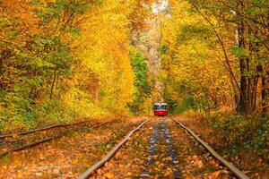 Autumn forest through which an old tram rides Ukraine photo