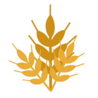 Grano pianta illustrazione png