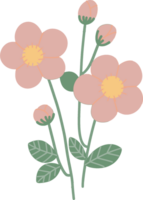 Spring flowers illustration png