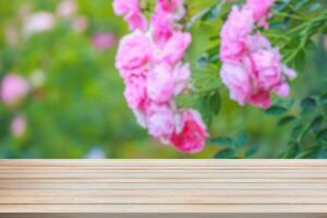 Empty wood table top with blur rose garden background for product display photo