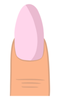 roze amandel nagel png