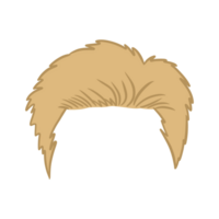 Blonde Classic Hairstyle png