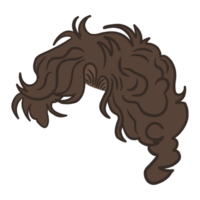 Curly Men Hairstyle png