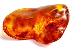 Macro stone mineral amber with insects, flies and beetles on a white background close up photo