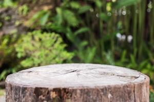 Empty old tree stump table top with blur green tropical garden background for product display photo