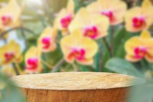 Empty old tree stump table top with blur orchid garden background for product display photo