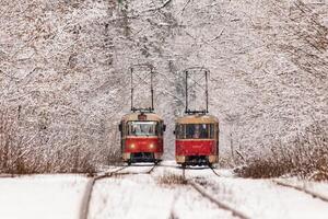 An old tram moving through a winter forest photo