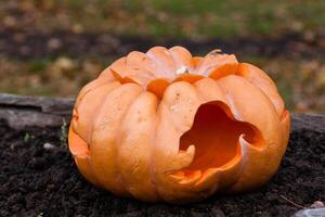 Beautiful pumpkins for halloween photo