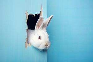 AI generated Bunny looking in wall blue hole. Generate ai photo