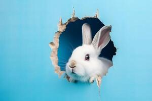 AI generated White bunny appears from building blue gap. Generate ai photo