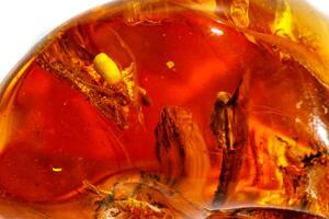 Macro Amber mineral stone with spider on white background photo