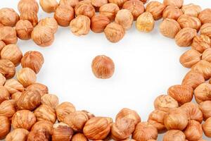 macro hazelnuts nuts on a white background photo