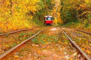 Autumn forest through which an old tram rides Ukraine photo