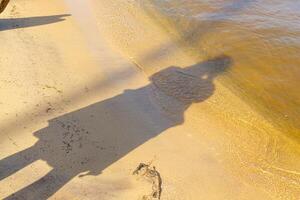 beautiful beach yellow sand with sea waves photo