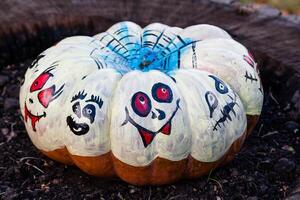 Beautiful pumpkins for halloween photo