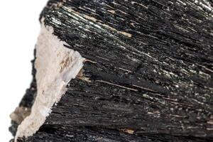 Macro mineral stone Schorl, Black Tourmaline on a white background photo