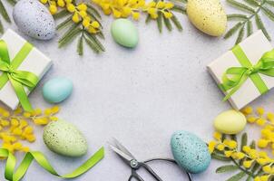 Mimosa branch, Easter eggs and gift boxes on gray concrete background. photo