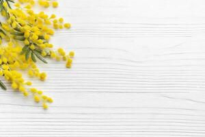 Mimosa flowers on white wooden background photo