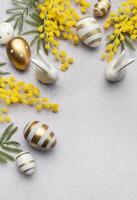mimosa rama, Pascua de Resurrección huevos en gris hormigón antecedentes. foto