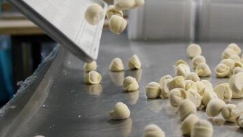 alleen maar afgewerkt knoedels vlieg van dienblad naar tafel. vliegend knoedels in langzaam beweging. koken van een knoedels in langzaam beweging. vlees knoedels zijn wezen liet vallen naar een dienblad welke is gelegen in een houder video