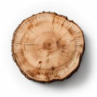 AI generated Old piece of tree stump isolated on white background photo