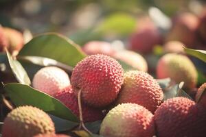 AI generated Lychee farming Thailand. Generate ai photo