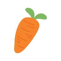 fresh organic carrots illustration vector