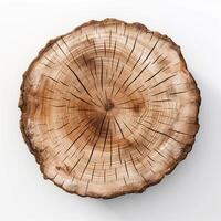 AI generated Old piece of tree stump isolated on white background photo