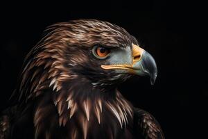 AI generated Portrait eagle majestic bird. Generate ai photo