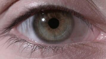 Beautiful insightful look light green woman's eye. Close Up of Woman's Light Green Eye with Heart Pupil video