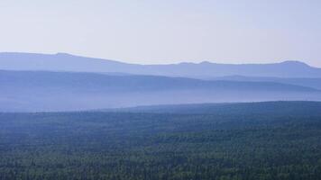 Majestic panorama of green mountains with sunny beams. Mountains in early morning mist. summer landscape. Fog from conifer forest surrounds the mountain top in sunset light video