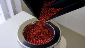 tecnico nel il laboratorio test il qualità di cereali e fagioli. attrezzatura per dai un'occhiata il qualità di il fagioli. analisi il qualità di il fagioli. chimica ricercatore osservando indicatore colore cambio video