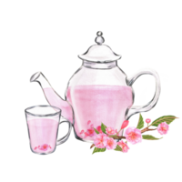 Hand-drawn watercolor illustration. Glass teapot and a cup with sakura tea and sakura branch near it png