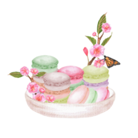 Hand-drawn watercolor illustration. White ceramic bowl with multi-colored macaroons and sakura branches with butterjly png