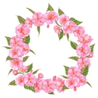 Hand-drawn watercolor illustration. Wreath with sakura flowers and leaves. For greeting cards, posters, flyers, covers png