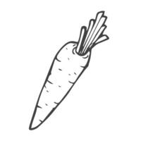 carrot doodle icon vector sketch