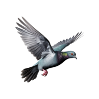 ai généré en volant Pigeon isolé sur transparent Contexte png