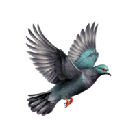 ai généré en volant Pigeon isolé sur transparent Contexte png