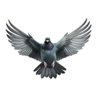 ai généré en volant Pigeon isolé sur transparent Contexte png