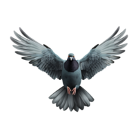 ai généré en volant Pigeon isolé sur transparent Contexte png